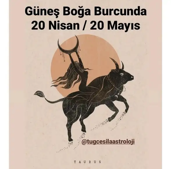 boğa3 (1).webp