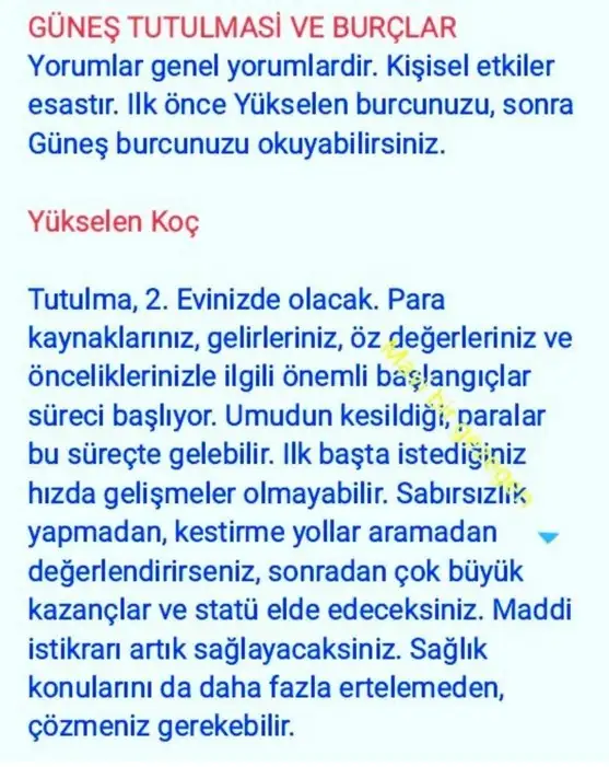 boğa3 (1).webp