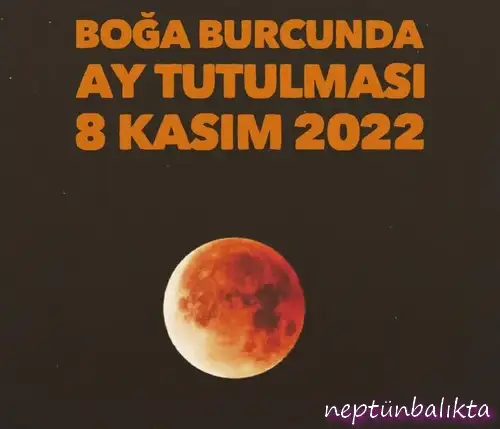 boğa3 (1).webp