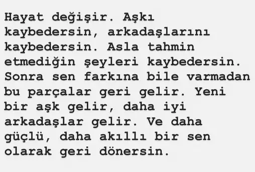 boğa3 (1).webp