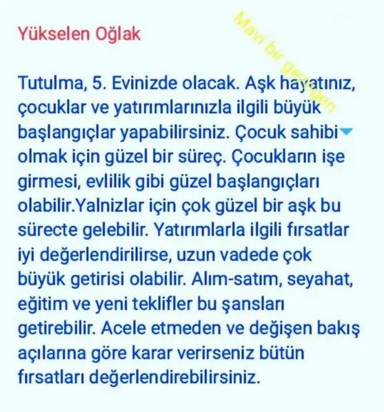 boğa3 (10).webp