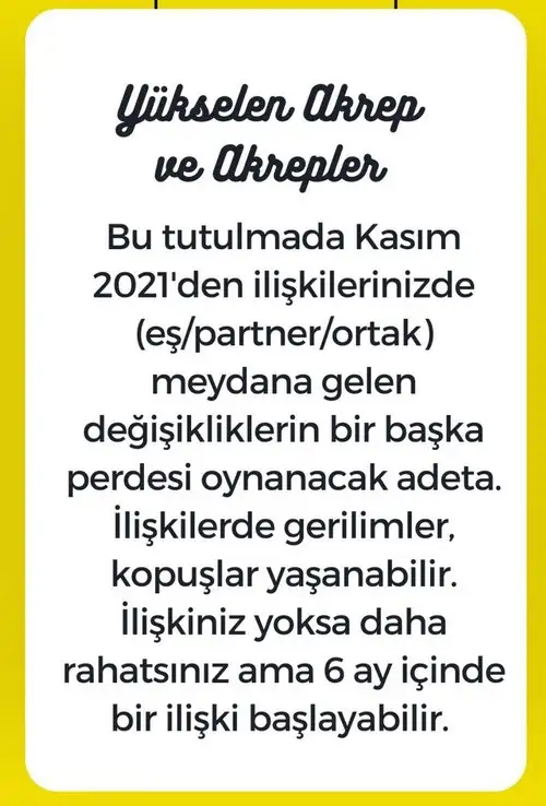 boğa3 (10).webp