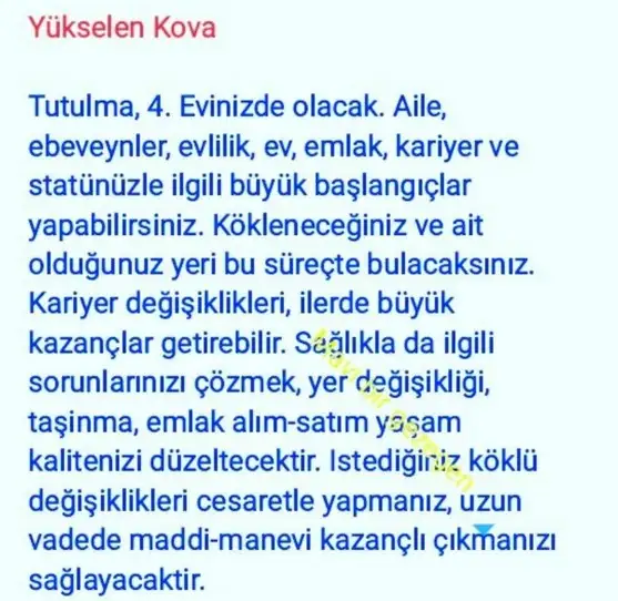 boğa3 (11).webp