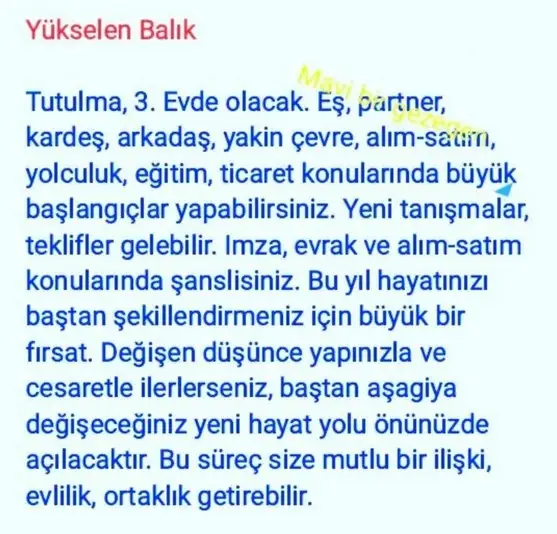 boğa3 (12).webp