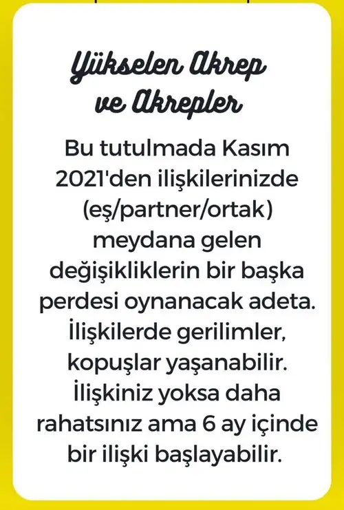 boğa3 (12).webp