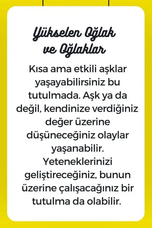 boğa3 (14).webp