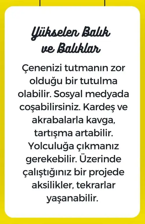 boğa3 (16).webp