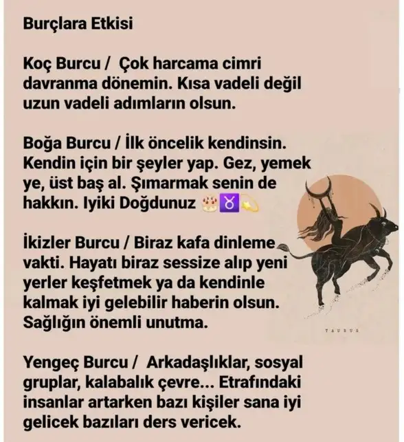 boğa3 (2).webp