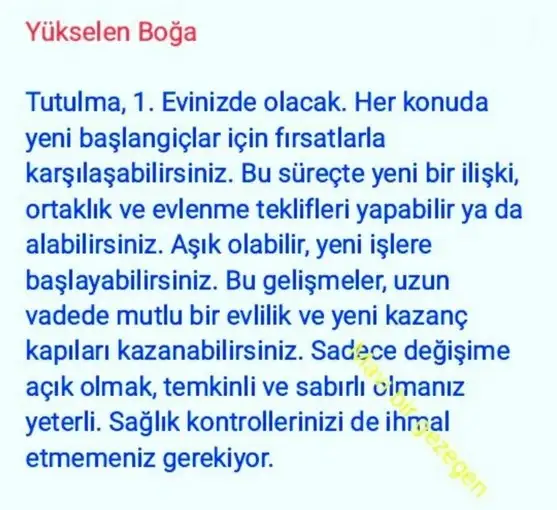 boğa3 (2).webp