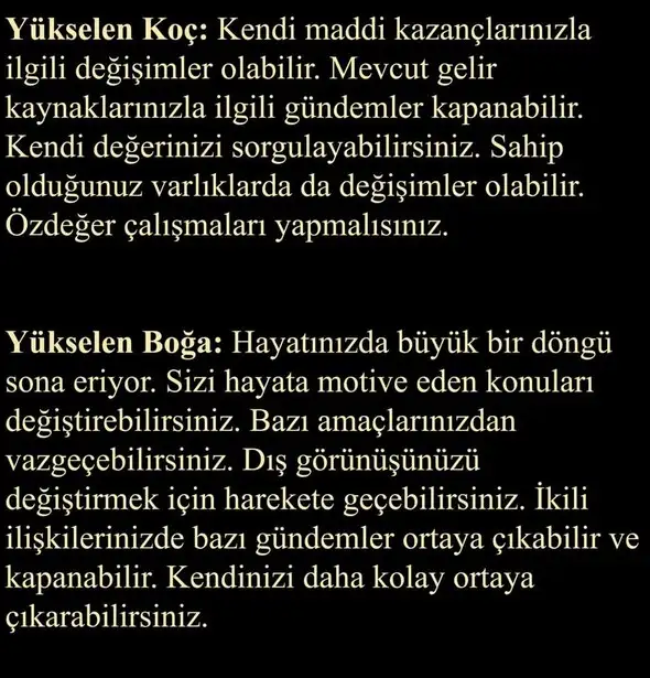 boğa3 (2).webp