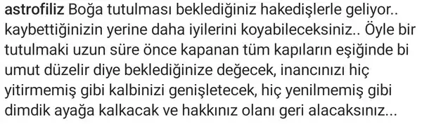 boğa3 (2).webp