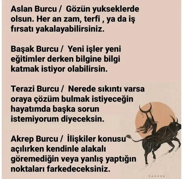 boğa3 (3).webp