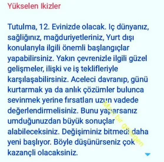 boğa3 (3).webp