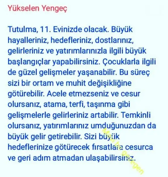 boğa3 (4).webp