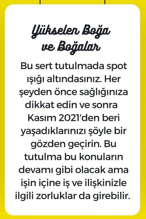 boğa3 (4).webp