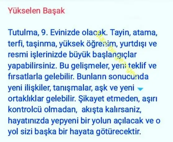 boğa3 (6).webp