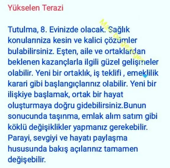 boğa3 (7).webp