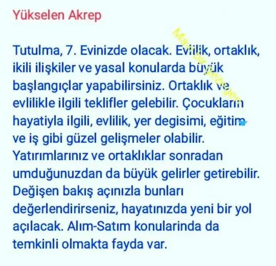 boğa3 (8).webp