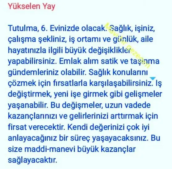boğa3 (9).webp
