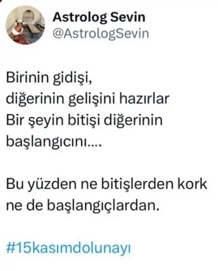 boğa3.webp