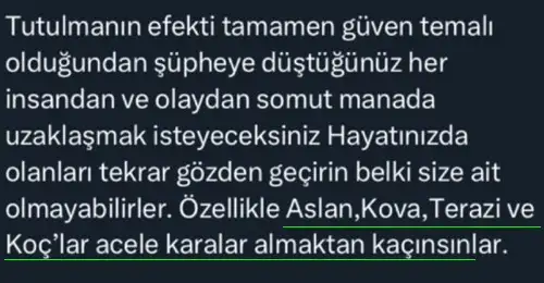 boğa30 (2).webp