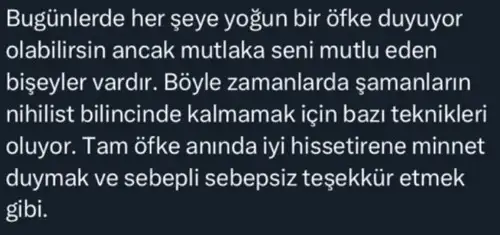 boğa30 (3).webp