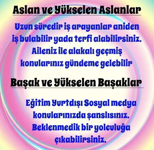 boğa30 (4).webp