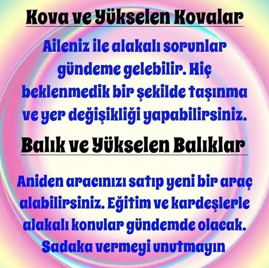boğa30 (7).webp