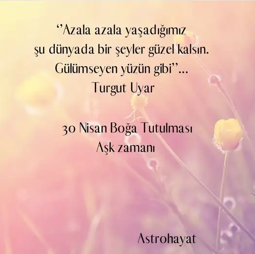 boğa30.webp