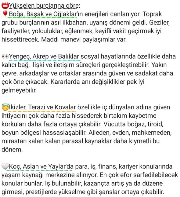 boğa31 (2).webp