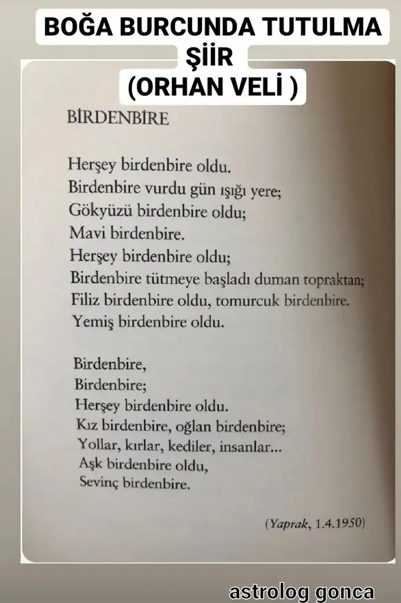 boğa32.webp
