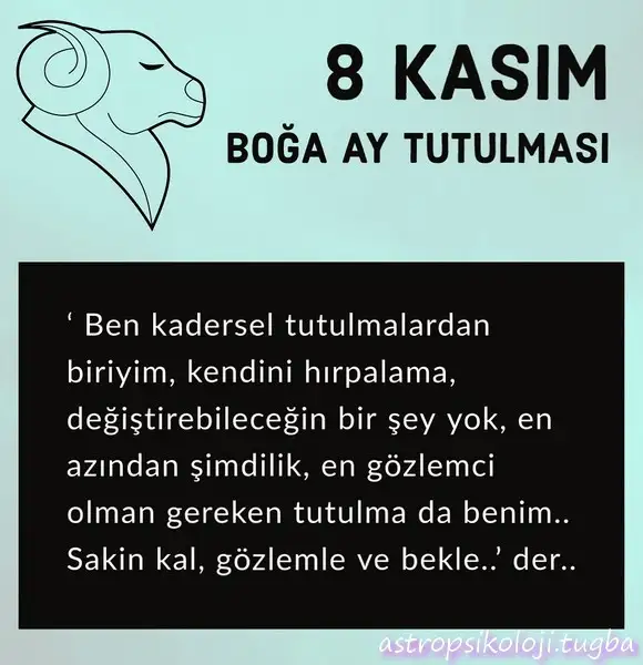 boğa33 (1).webp