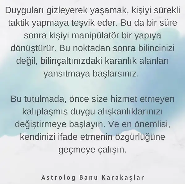 boğa34.webp