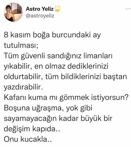 boğa37.webp
