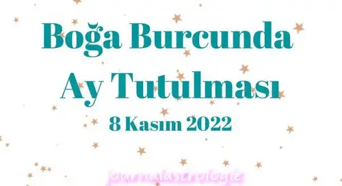 boğa4 (1).webp