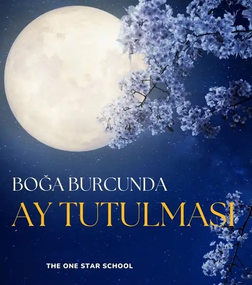 boğa4 (1).webp