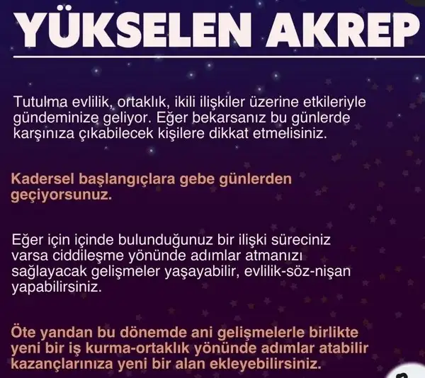 boğa4 (10).webp