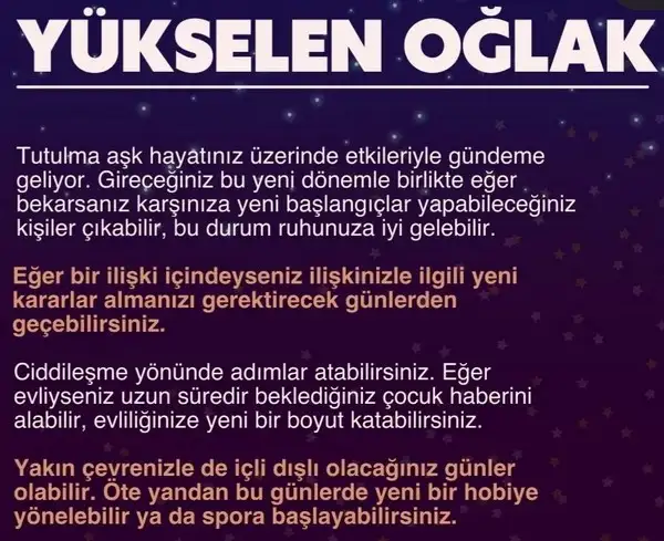 boğa4 (12).webp