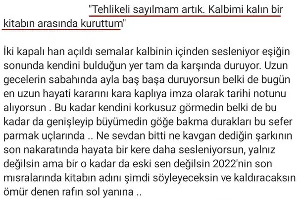 boğa4 (2).webp