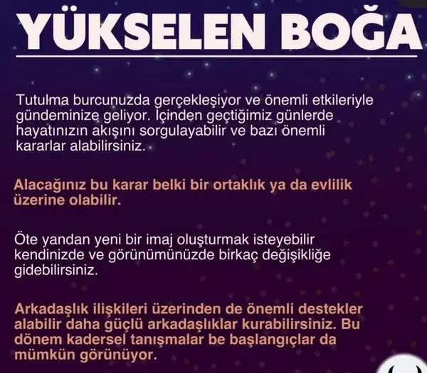 boğa4 (3).webp