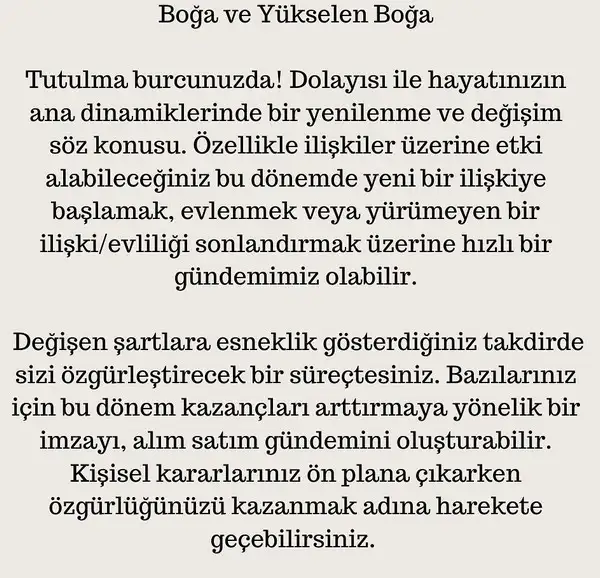 boğa4 (3).webp