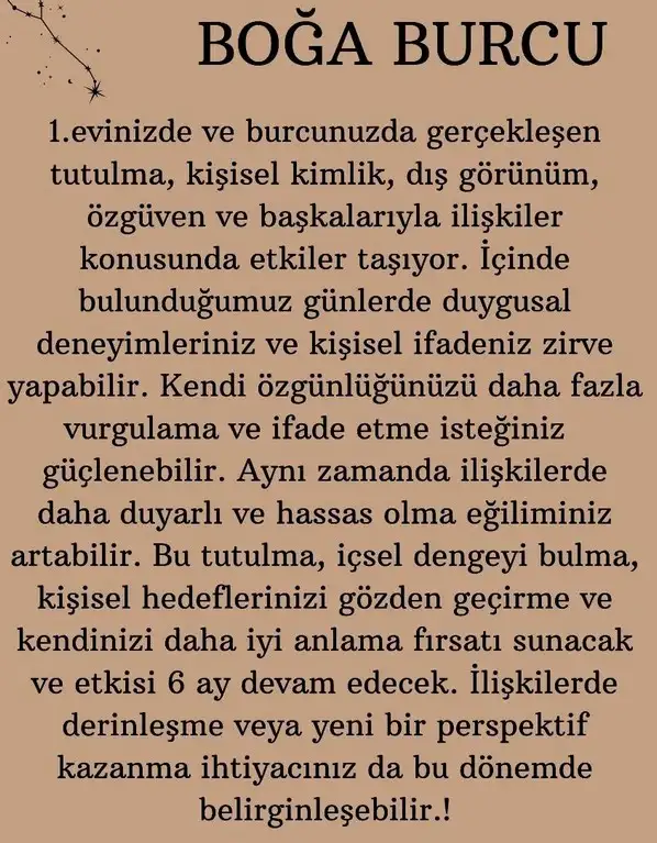 boğa4 (3).webp