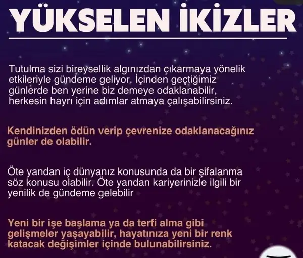 boğa4 (4).webp