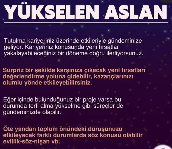boğa4 (6).webp