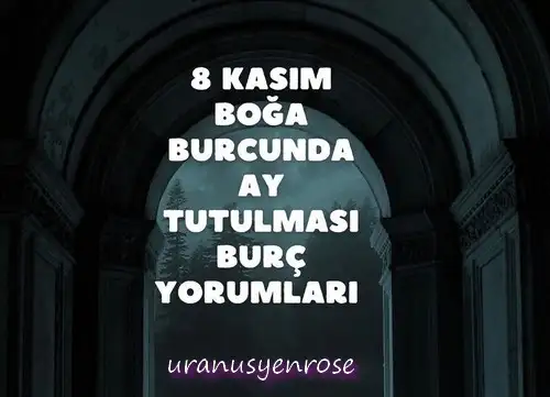 boğa40 (1).webp