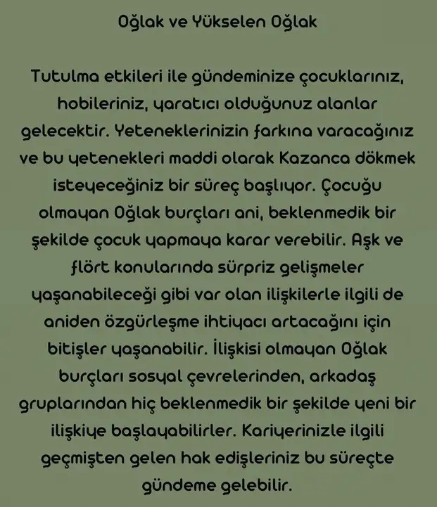 boğa40 (11).webp