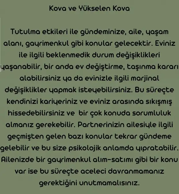 boğa40 (12).webp