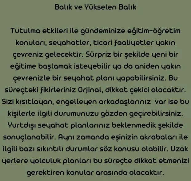 boğa40 (13).webp
