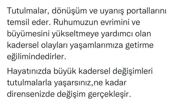 boğa40 (15).webp