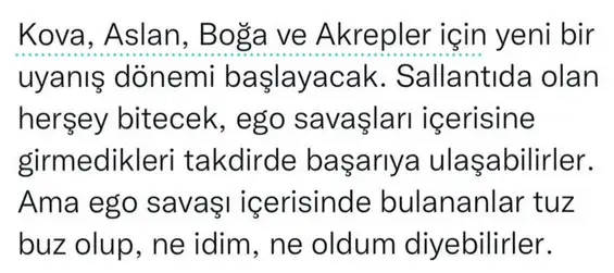 boğa40 (17).webp